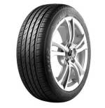 2055516 91V Delinte DH2